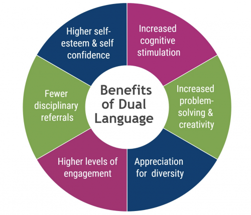 Benefits of Dual Language infographic, content available elsewhere on page